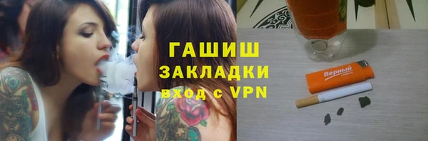 хмурый Абаза
