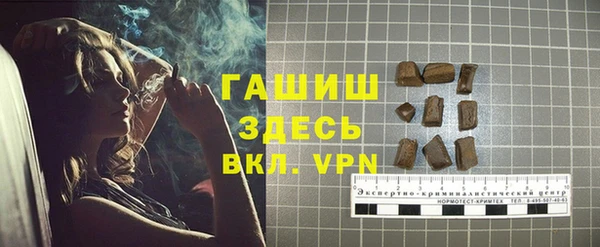 хмурый Абаза