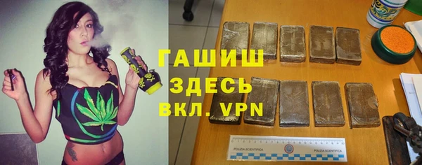 хмурый Абаза